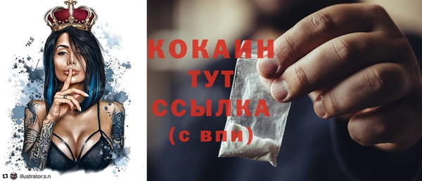 скорость Ельня