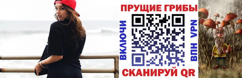 Псилоцибиновые грибы мицелий  Купить закладки  Лыткарино 
